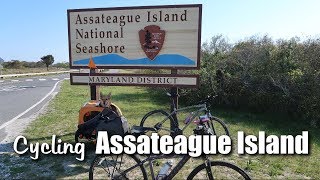 Cycling Assateague Island [upl. by Lemra942]