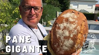 Pane Gigante nach Franz Stolz  Brot backen gerykocht [upl. by Smukler]