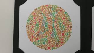 2020 Colour Blindness Ishihara Book Original 38 Plates Edition Made By Japan [upl. by Nodmac]