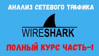 WireShark Полный курс Часть1 wireshark анализтрафика [upl. by Ahsinad]