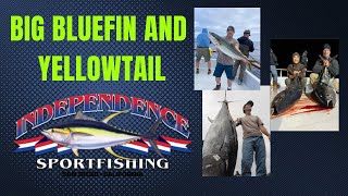 INDEPENDENCE SPORTFISHING  GRAFTECH  TURNERS JUNE 2ND 2023 8 DAY [upl. by Alphonso837]