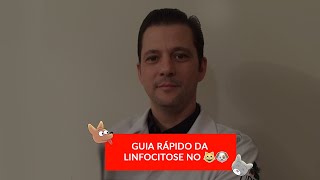 Guia rápido da linfocitose no cão e no gato [upl. by Eilsek]