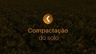 Compactação do solo  Minuto K [upl. by Ojimmas]