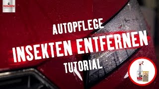 Autopflege Tutorial Insekten vom Auto entfernen [upl. by Haisi]