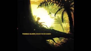 Thomas Oliver  Let It Not Be Lost Weissenborn Instrumental [upl. by Faith]