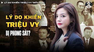 Lý Do Khiến Triệu Vy quotBốc Hơiquot Chỉ Sau 1 Đêm Là Gì  Vụ Án Có Thật [upl. by Eelaroc]