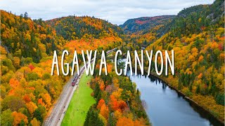 The Best Fall Colour Trip in Ontario Agawa Canyon Train Tour [upl. by Boehike]