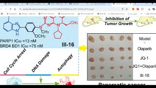 Drug Design Project [upl. by Massiw]