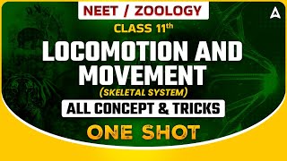 LOCOMOTION AND MOVEMENT ONE SHOT  SKELETAL SYSTEM  NEET 2024  ALL CONCEPTS amp TRICKS SANKALP [upl. by Miarfe254]