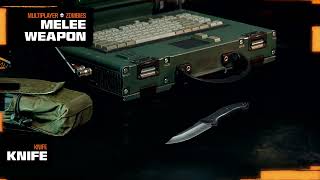 Weapons And Armaments For Call of Duty Black Ops 6 Launch Revealed [upl. by Nedle438]