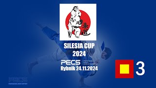 TATAMI 3  SILESIA CUP RYBNIK 2024 [upl. by Atkins]