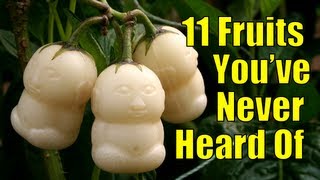 11 Fruits Youve Never Heard Of [upl. by Einwat]