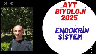 ENDOKRİN SİSTEM AYT 2025 [upl. by Zaria]