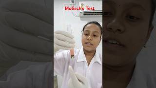 Molischs TestHelix BiolabBiochemistry Practical shorts [upl. by Kersten]