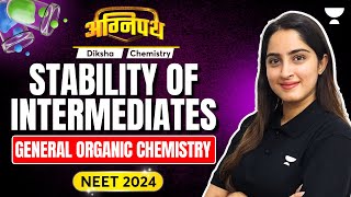 Phoenix 20 Chemistry Most Important Video for NEET 2025  Unacademy NEET Toppers  NEET [upl. by Reeta]