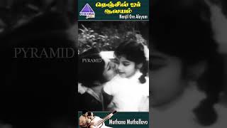 Muthana Muthallavo Video Song  Nenjil Or Aalayam Movie Songs  Muthuraman  Devika  Shorts [upl. by Annazor540]