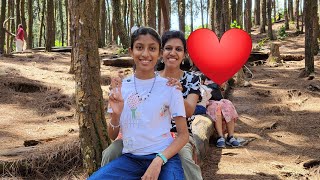 Vagamon TripPart 2Pine ForestampAdventure ParkkottayamwaterfallVagamonTravel🔥😎🫶Vlog 10 [upl. by Estele109]