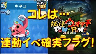 【新キャラ キネコ今後登場確実】ぷにぷにとホーリーホラーマンションの連動または新シリーズについて アイドルロワイヤル 妖怪ウォッチぷにぷに Yokai Watch [upl. by Ellemac]