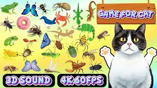 Coco TV 🐞 CAT GAMES🐞 Compilation Special Episode of Cat TV Show 25  8 HOURS  NO ADS 🐝🐞🦋🦎🦜🐜🐭🧵 [upl. by Beverley182]