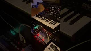 Korg MS20mini  volca bass live jam 2 [upl. by Suirada]