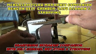 Bagaimana Mengasah Pisau Morakniv  How to Sharpen Morakniv Companion [upl. by Akimik]