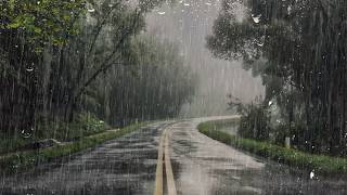 Lluvia para Dormir 🌧 Dormirás Bien y Relajante con Sonido de Lluvia en Bosque Brumoso  ASMR [upl. by Ob]