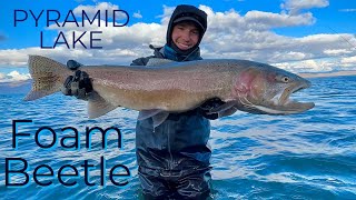 Outdoor Nevada S1 Ep1 Clip  Ladder FlyFishing at Pyramid Lake [upl. by Aleakam]