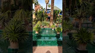 Magical jardinmajorellemarrakech  so so beautiful [upl. by Suirrad]