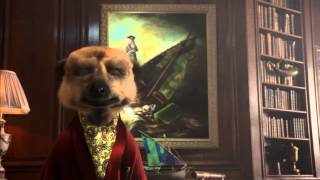 quotSpring Cleanquot commercial for comparethemeerkatcomau by Aleksandr Orlov Official Australias [upl. by Maybelle]