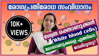 Immune system Explained in Malayalam  How do white blood cells fight pathogens [upl. by Lledyr]