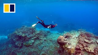 Why humans depend on the Great Barrier Reef [upl. by Yrffej]