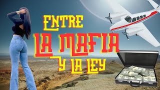 Entre La Mafia Y La Ley PELICULA COMPLETA [upl. by Ahterahs854]