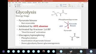 Term 2 Exam 2 Exam Review  Biochemistry [upl. by Ermengarde]