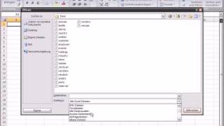 Excel2007 DBF importieren [upl. by Gleeson]