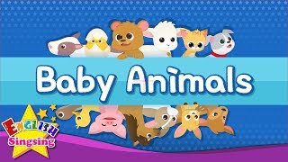 Kids vocabulary  Baby Animals  Learn English for kids  English educational video [upl. by Gaut]