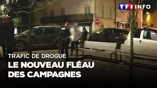 ENQUÊTE  Trafic de drogue  le nouveau fléau des campagnes [upl. by Kassia]