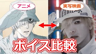 【はたらく細胞】アニメと実写映画でキャストの音声を比較 それぞれの演技の特徴は…？【ボイスロイド考察】 [upl. by Ellierim]