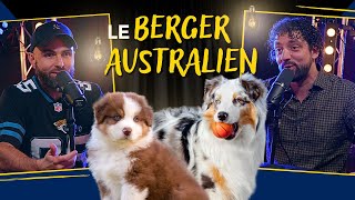 Le BERGER AUSTRALIEN [upl. by Lucas]