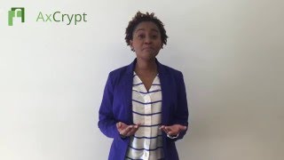 AxCrypt Pitch English [upl. by Line]