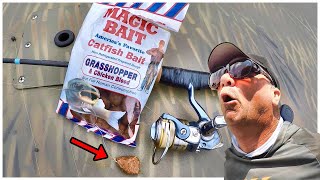 A Simple Way To Catch Catfish With Magic Bait From Walmart [upl. by Borlow120]