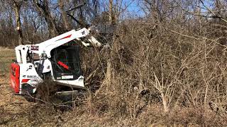 Loftness L series Battle axe forestry mulcher on Bobcat T595 [upl. by Vance842]