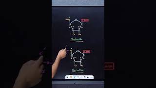 Structure of DNA amp RNA  Biomolecules  Class 12 Chemistry [upl. by Lanam]