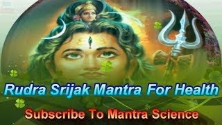 Rudra Shiva Mantra For Health मंत्र साधना और विधि [upl. by Aneerol]