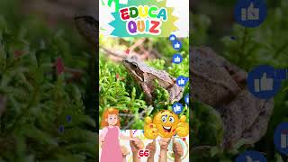 Qual Animal Consegue Congelar o Próprio Corpo e Voltar à Vida EducaQuiz 66 curiosidades quiz [upl. by Odlaw]