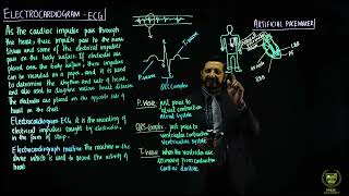 Electrocardiogram artificial pace maker and blue babies  11TH BIOLOGY  CHP 14  LECTURE 23 [upl. by Annavoeg]