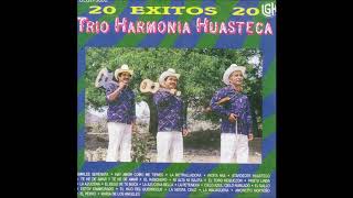 Trio Armonia Huasteca  20 Exitos Disco Completo [upl. by Dahle]