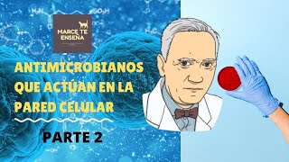 Antimicrobianos que actuan en la pared celular parte 2 [upl. by Oirottiv]