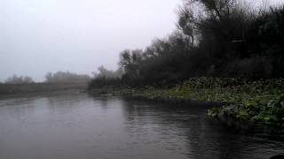 On the San Joaquin River at Laird Park in Grayson Ca in an 8 ft kayak [upl. by Luhey]