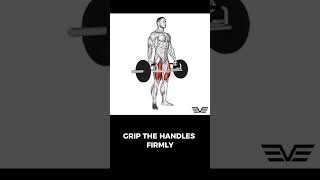 Trap Bar Deadlift trapbardeadlift deadlift deadlifts trapbardeadlifts [upl. by Ivanah]