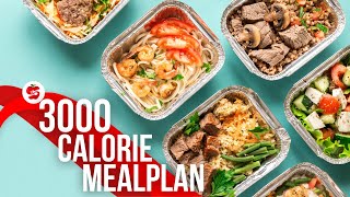 3000 Calorie Meal Plan for Weight Gain amp Muscle Building  Gain 6 kg in 2 Weeks [upl. by Odnomra]